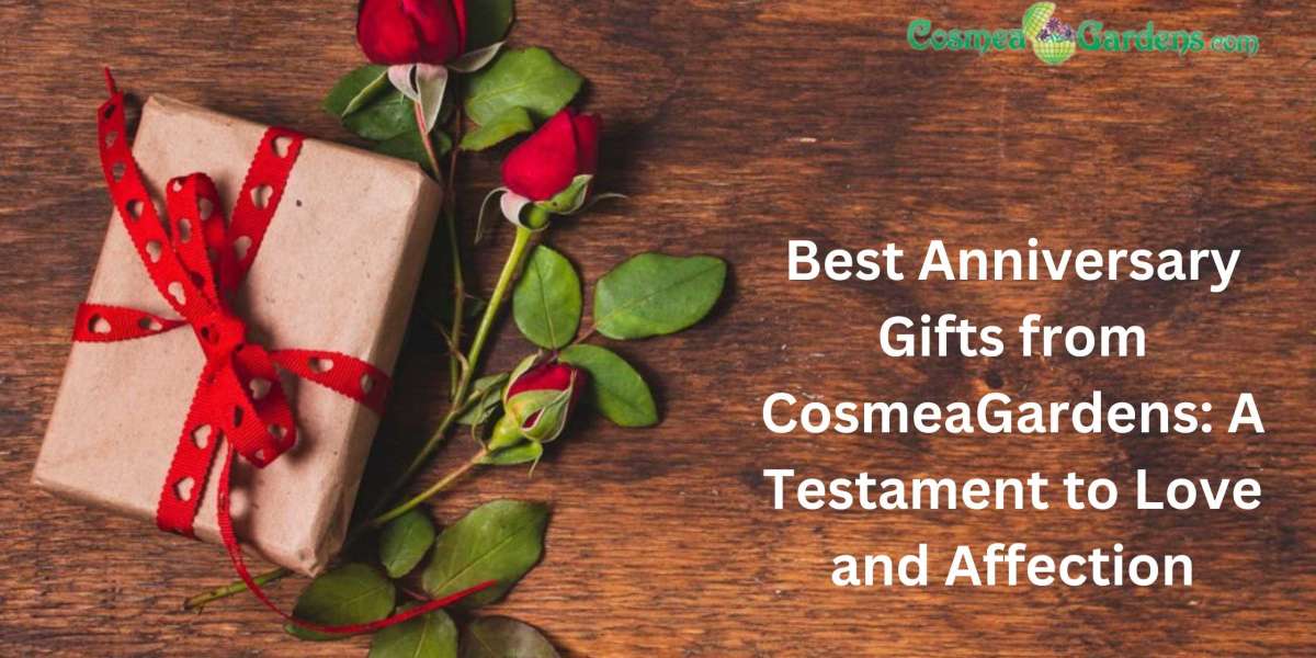 Best Anniversary Gifts from CosmeaGardens: A Testament to Love and Affection